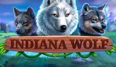 Indiana Wolf